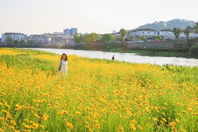 f8c10209d17e5dff608b1ca2d4511cb3.jpg