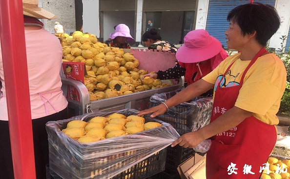 1597108067518304.jpg 微信图片_20200811085825.jpg