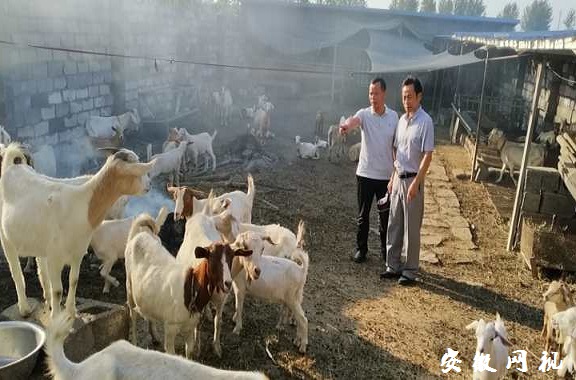 QQ图片20200929150134.jpg