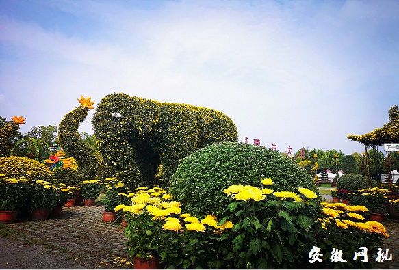 QQ图片20201004085811.jpg