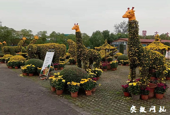 QQ图片20201004085905.jpg
