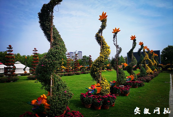 QQ图片20201004085833.jpg
