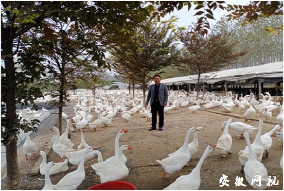 QQ图片20201109102226.jpg