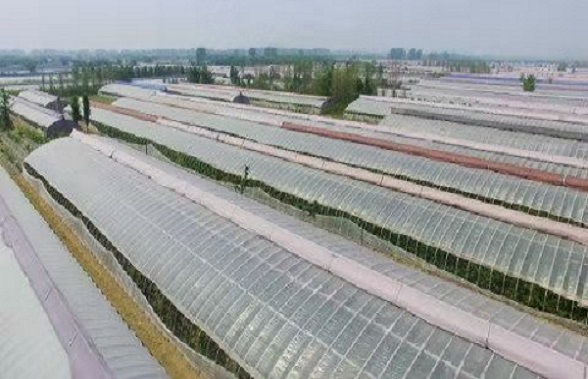 QQ图片20201201131821.jpg