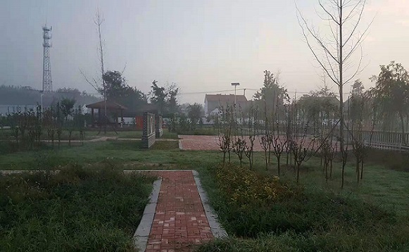 环境照片3.jpg