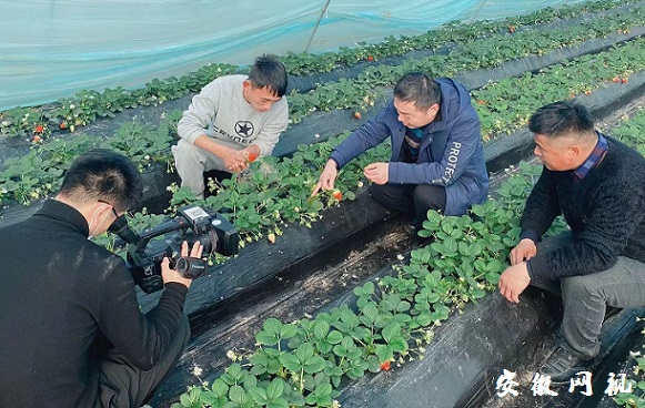 QQ图片20201223160049.jpg