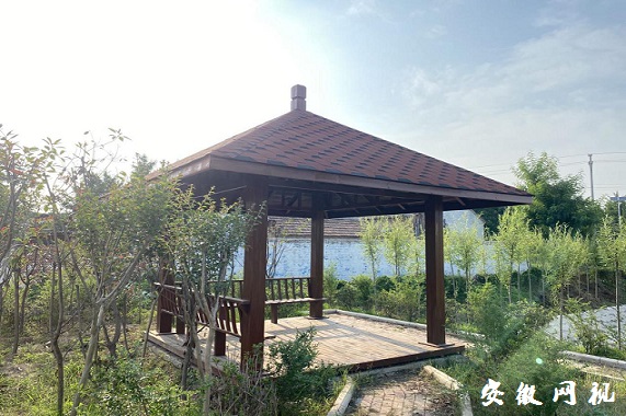 QQ图片20201229085839.jpg