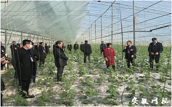 QQ图片20210304185110.jpg