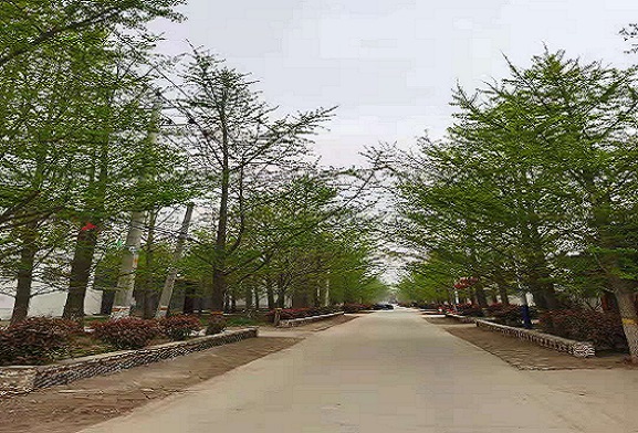 QQ图片20210415153829.jpg