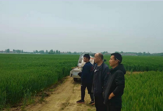 QQ图片20210429083202.jpg
