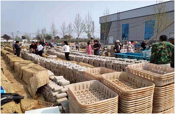 QQ图片20210511074823.jpg