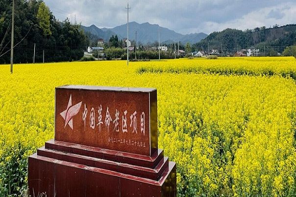 QQ图片20220408084137.jpg